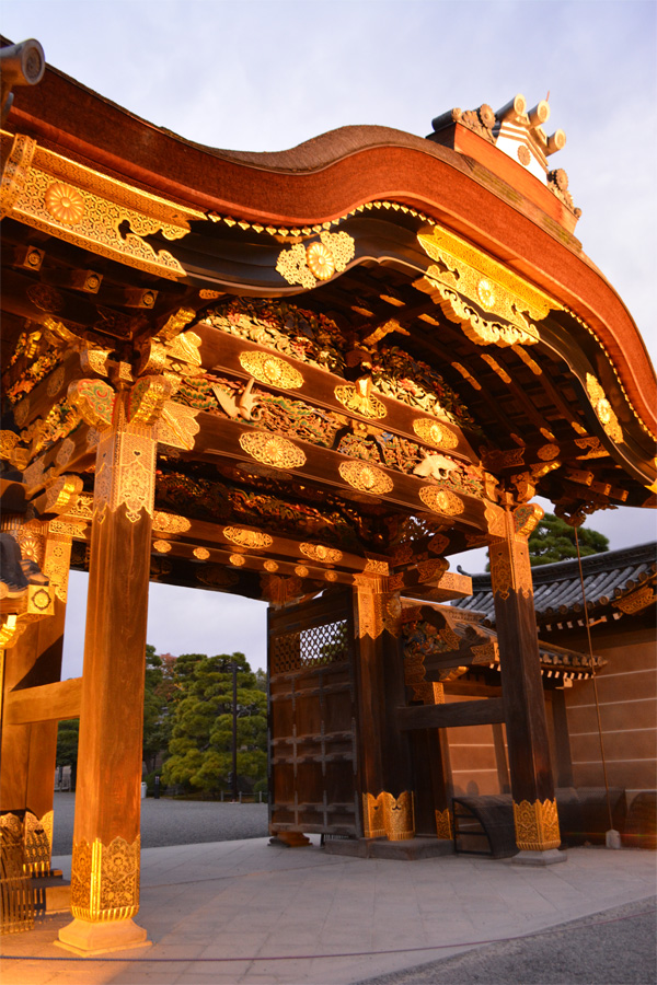2017アートアクアリウム城in京都二条城　レポートブログ前編～待ち時間から数々の作品まで～