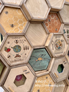 万博レポ_モナコ_3